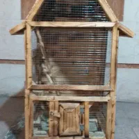 قفس