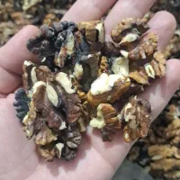 مغز فسنجونی کیلویی ۶۷۰