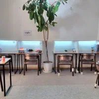 پانسیون مطالعاتی دخترانه تلاش