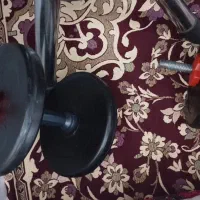 دمبل،صفحه هالتر،هالتر