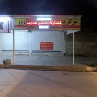 نیازمند تیکه کن مرغ کشتار روز