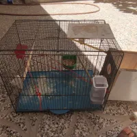 قفس پرنده