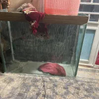 اکواریوم بزرگ وسنگین