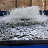 فروش-پرورش-ماهی-2500مترزمین-باقیمت-مناسب