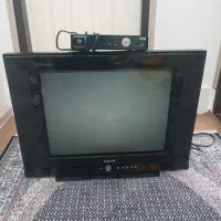تلوزیون