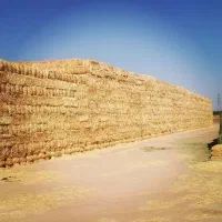 کاه گندم پرس شده