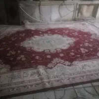 قالی در حد نو
