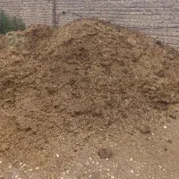 کود حیوانی رایگان