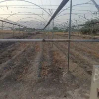 کارگلخانه ای