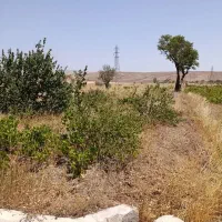 فروش-باغ-انگور-کوهین
