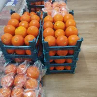 فروش میوه زیر قیمت. میوه