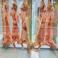 گوشت و مرغ تازه گرم