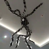 عروسک عنکبوت بزرگ