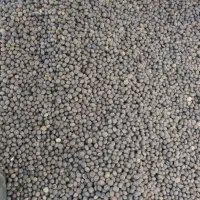 فروش سیاه دانه