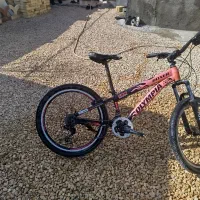 دوچرخه المپیا باکسر 24