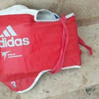 هوگو تکواندو