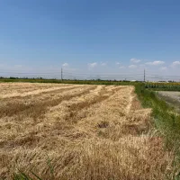 زمین زراعی با امکانات دو نبش