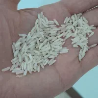 لاشه و نیم دانه و برنج طارم هاشمی|خوردنی و آشامیدنی|ساری, |دیوار