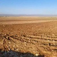 نیاز به سرمایه گذار برای کشاورزی