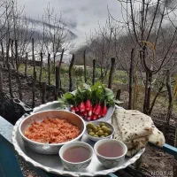 استخدام نیروی آقا در بخش صبحانه