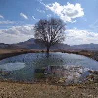 سرایدار یا باغبان هستم
