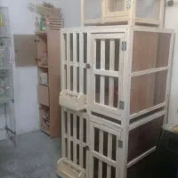 خانه خروس لاری
