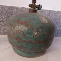 یک عدد پیک نیک سالم
