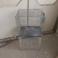 قفس