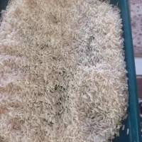 برنج هاشمی
