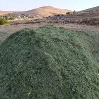 یونجه۱۲۳