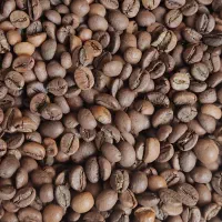 قهوه باز خرده عمده دان