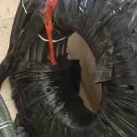 شیلنگ آب