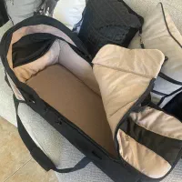 کریکات نوزاد مادرکیر
