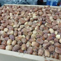 خرما زاهدی پاستیلی
