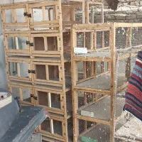 جفت کن جفگاه