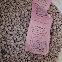 لوبیا چیتی بذر مادری