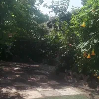 ۵۰ متری مبله مرکز شهر خشکبیجار