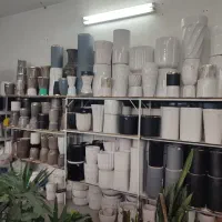 حراج انواع گل و گلدون به علت تغییر شغل
