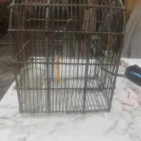 قفس پرنده