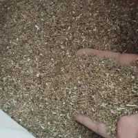 بزر یونجه