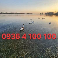 09364100100 رند