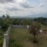 زمین-365-متری-جنگلی-با-جواز