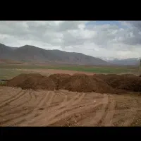 سرکارگر هستم برای یکه تیغ با اکیپ ماهر ۱۵ نفر