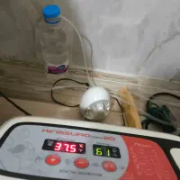 دستگاه جوجه کشی ارکام سری جدید و قدیم