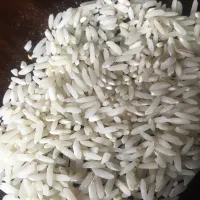 انواع برنج ایرانی