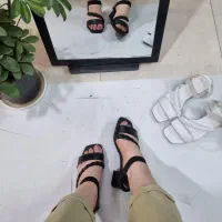 ارجینال