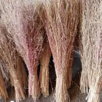 جارو فراشی