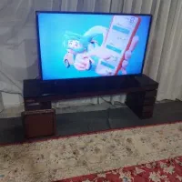 تلویزیون 48 اینچ ایکس ویژن