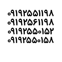 ۰۹۱۹.۳۵۵.۰.۲۵۵