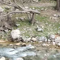 شبکه بهداشت